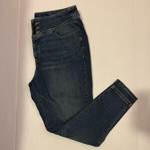 Lane Bryant medium wash skinny jeans High